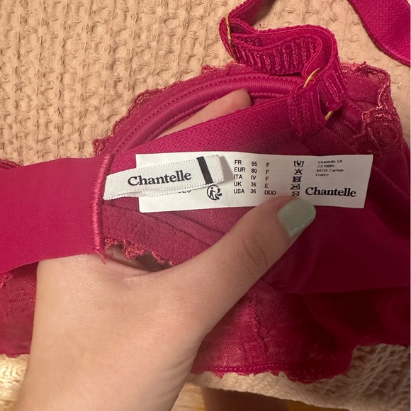 Champs Elysées Lace Unlined Demi Bra Magenta 36DDD - Picture 5 of 5